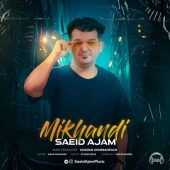 دانلود آهنگ سعید عجم میخندی